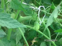 BILD0070.webp