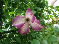 DSCF5543.webp