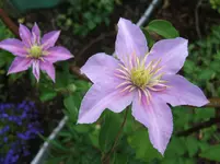 DSCF5544.webp
