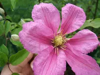 DSCF5545.webp