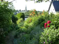 Garten 2.webp