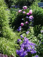 JD601624.webp