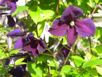 DSCN0428.webp