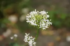 DSC05493.webp
