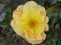 024.webp