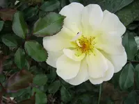 025.webp