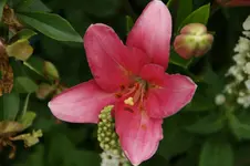 DSC05491.webp