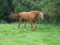 CIMG0399 - Kopie.webp