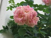 022.webp