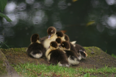 IMG_2886 - Kopie.webp