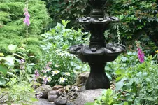 IMG_2898 - Kopie.webp