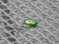 DSCN0439.webp
