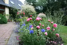 IMG_2899 - Kopie.webp