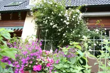 IMG_2904 - Kopie.webp