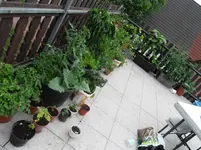 SDC12572.webp