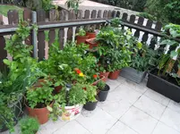 SDC12574.webp