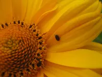 IMG_5131.webp