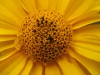 IMG_5130.webp
