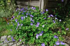 DSC_9457.webp