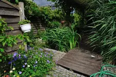 DSC_9468.webp