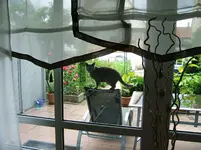 DSCF5553.webp