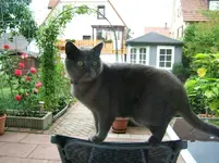DSCF5554.webp