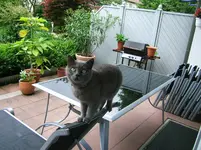 DSCF5555.webp
