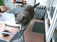 DSCF5556.webp
