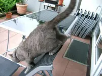 DSCF5558.webp