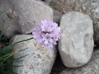 DSCF0546.webp