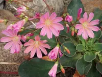DSCF0545.webp
