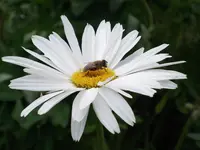 DSCF0571.webp