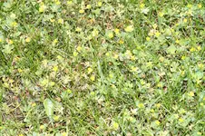 IMG_5354.webp