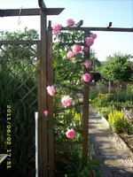 JD500486.webp