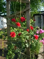 JD500487.webp