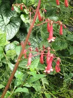 IMG_3599_600x800.webp