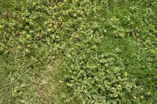 IMG_5355.webp