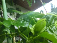 DSC02703.webp