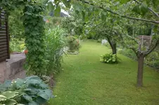 Garten Juni 3 039.webp
