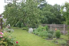 Garten Juni 3 043.webp