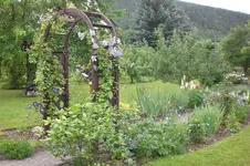 Garten Juni 3 044.webp
