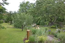Garten Juni 3 045.webp