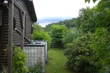Garten Juni 3 049.webp