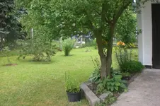 Garten Juni 3 059.webp
