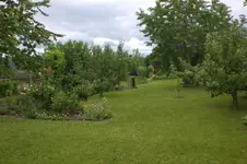 Garten Juni 3 060.webp