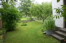 Garten Juni 3 064.webp
