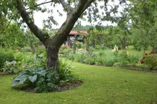 Garten Juni 3 078.webp