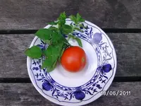 BILD0074.webp