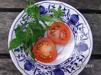 BILD0075.webp