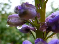 039.webp